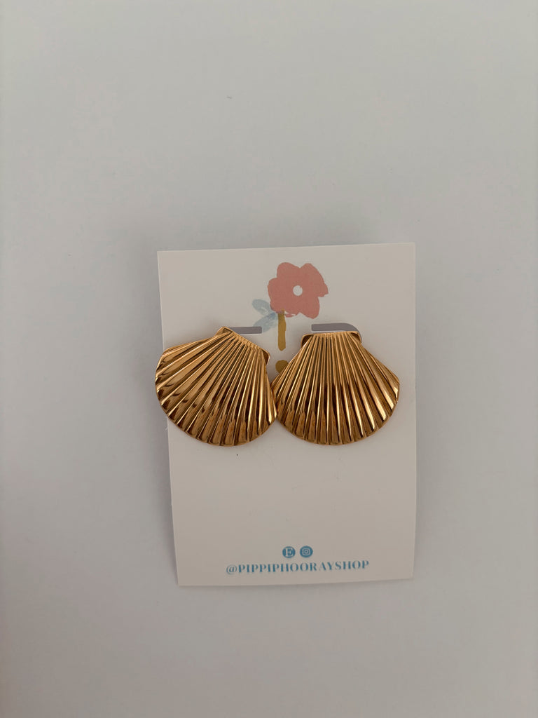 Seashell earrings